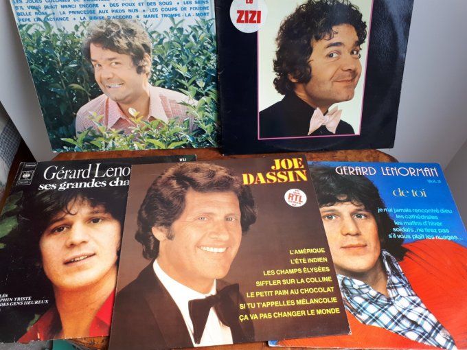 Lot de 5 disque vinyle 33T  Piere pierret / joe dassin /gerard lenorman