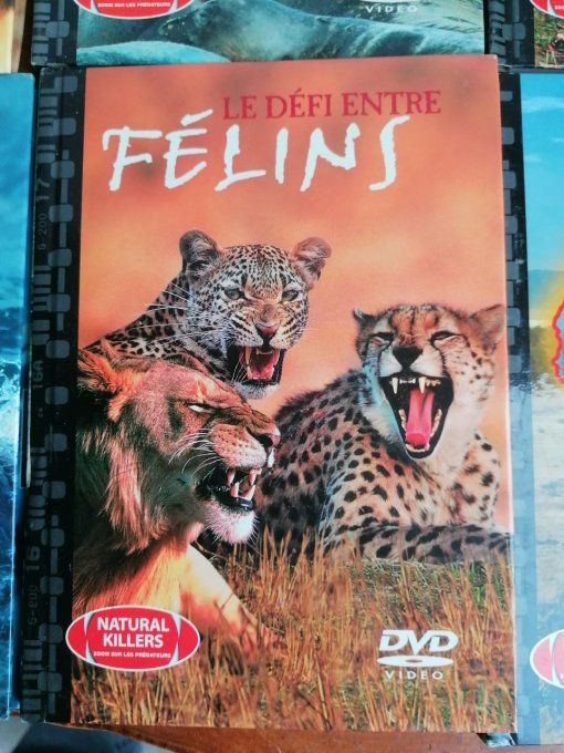 6 DVD animaux avec livret