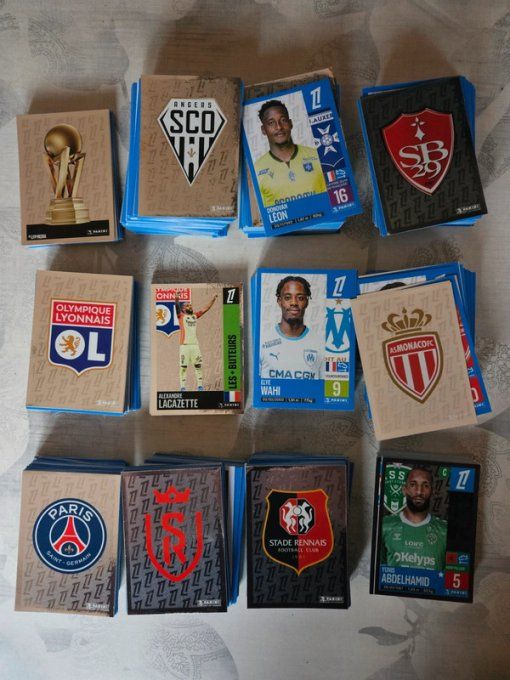 Panini Foot 2025 images manquantes 