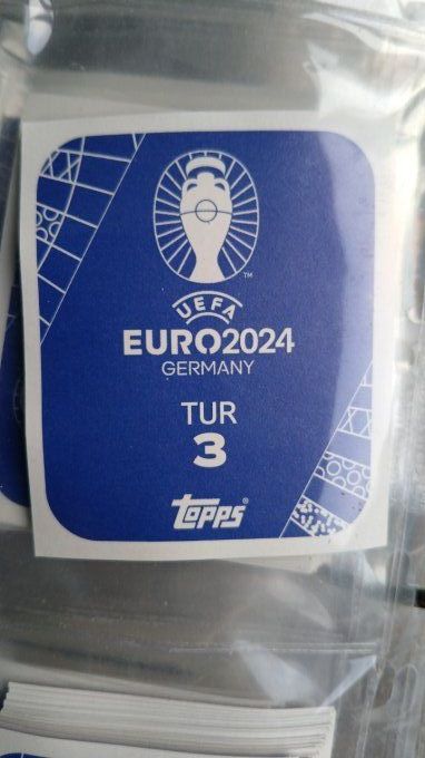 TOPSS SPECIAL STICKER VARIANTE CADRE vert euro 2024