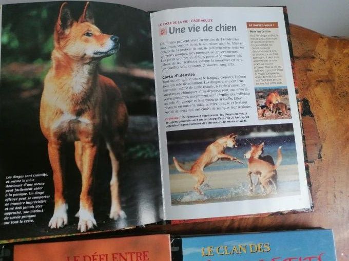 6 DVD animaux avec livret