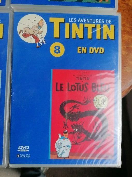 8 DVD serie Tintin et milou