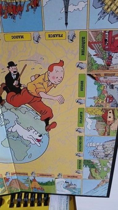 jeux Tintin et le piege du totem d'hor